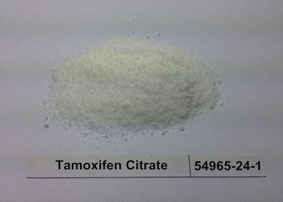 Legal Anti Estrogen Steroids Nolvadex Tamoxifen Citrate For Men CAS 54965-24-1